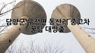담양군 무정면 동산리 중고차 꿀팁 대방출! 🚗💨