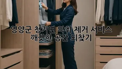 영양군 청기면 악취 제거 서비스: 깨끗한 공간 되찾기